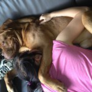 Blayze, de Bordeaux Dog