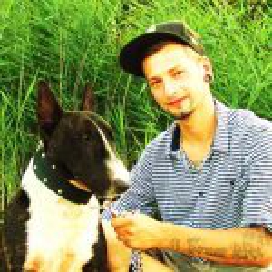 Bouba, de Bull Terriër