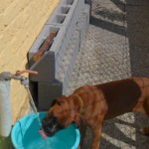 Clio, de Boxer A