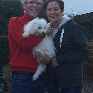 Cosmo, de Bichon Fris&eacute;