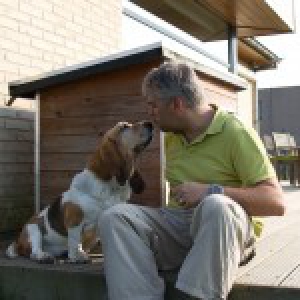 Lola, onze Basset