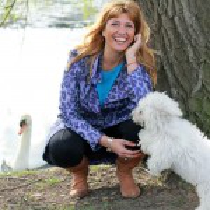 London, de Bichon Frisé