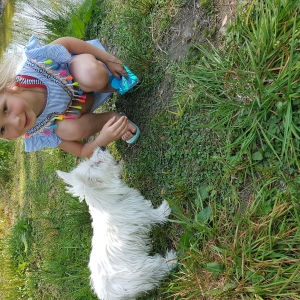 Ninjo, de West Highland White Terri&euml;r (Westie)