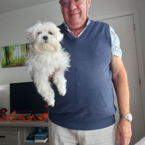 Pips, de Maltezer