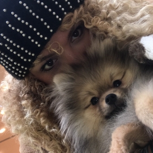 Pixel, le loulou de Pom&eacute;ranie