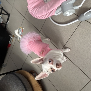 Renske, de Chihuahua