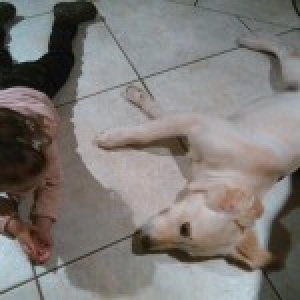 Sir Maximus, Max voor de vrienden