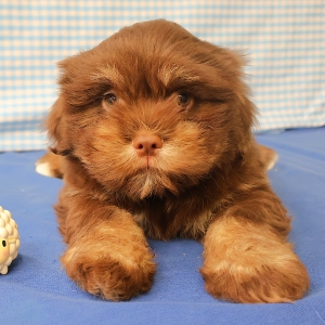 Offre Exceptionnelle