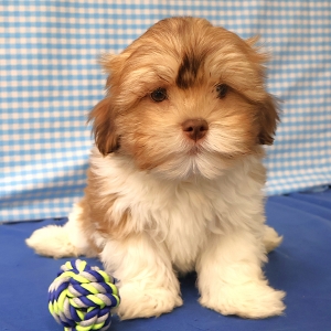 Offre Exceptionnelle