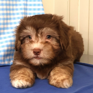 Offre Exceptionnelle