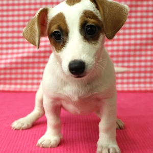 Offre Exceptionnelle