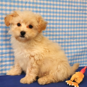 Offre Exceptionnelle